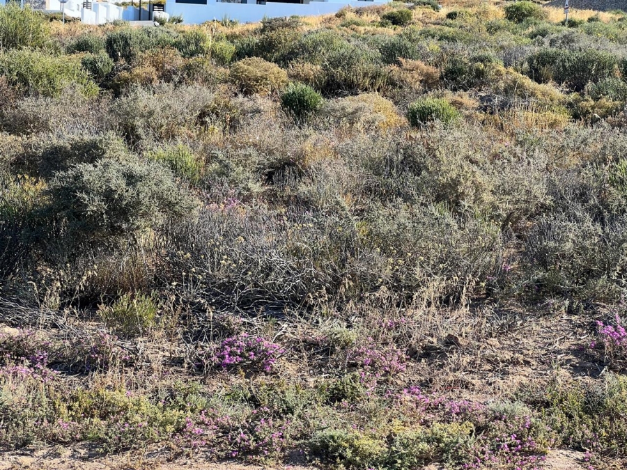 Commercial Property for Sale in St Helena Views Western Cape